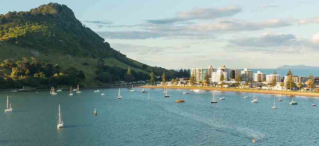 Hotels in Katikati